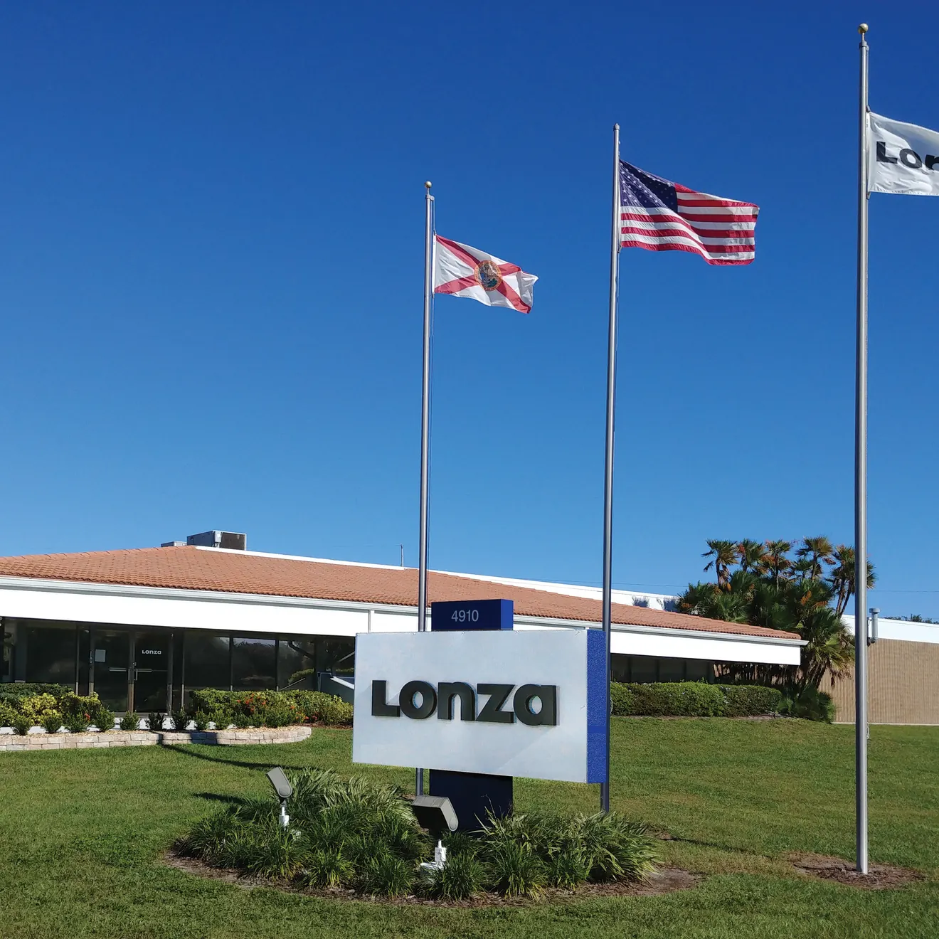 front of Tampa building with flags