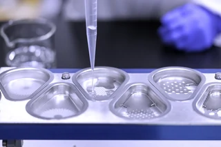 Inhalation Formulation Development